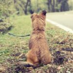 Insanlar Otel Web Sitenizden Rezervasyon Yapmadan Neden Cikiyor 640X360 1